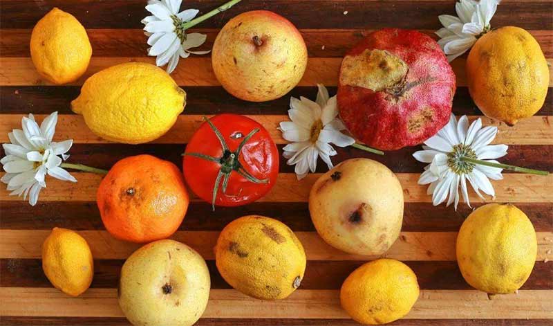 Как-да-пазим-зеленчуците-и-плодовете-пресни