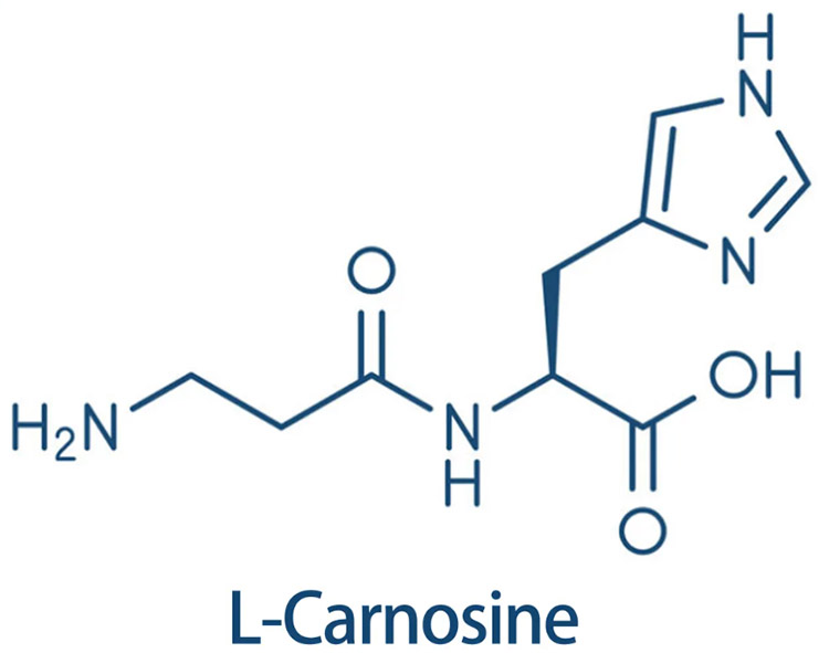 https://www.unilongmaterial.com/l-carnosine-cas-305-84-0-h-beta-ala-his-oh-product/